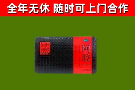 江门回收阿胶